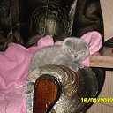 ���� ������, ��������, 48 ��� - ��������� 22 ������ 2012 � ������ ���� ��������