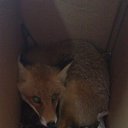 ���� ������, �����-���������, 45 ��� - ��������� 31 ������� 2012 � ������ �������