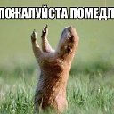 ���� ������, �����, 38 ��� - ��������� 24 ���� 2013 � ������ ������ ��������