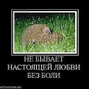 ���� ����, �����-���������, 42 ���� - ��������� 20 ����� 2011 � ������ ������...�