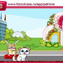  ,  , 50  -  11  2010   PetLove