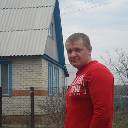 ���� ������, ����, 44 ���� - ��������� 21 ������ 2013