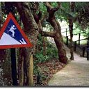 ���� ����, �������� - ��������� 24 ������ 2010 � ������ �������������