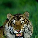 ���� �����, ������ - ��������� 28 ������ 2013 � ������ ���� ����������