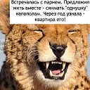 ���� �������, �����������, 37 ��� - ��������� 7 ���� 2013 � ������ ������ ��������