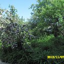 ���� Vitaliy, ����, 53 ���� - ��������� 26 ��� 2013 � ������ ���� ����������