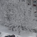 ���� �������, ������, 50 ��� - ��������� 26 ����� 2013 � ������ ���� ����������