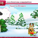 ���� �������, ������, 22 ���� - ��������� 4 ������� 2011 � ������ �PetLove�