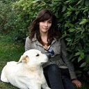 ���� �������, ����, 33 ���� - ��������� 17 ���� 2013