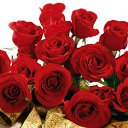 ���� Vova ��, �����, 49 ��� - ��������� 18 ��� 2012