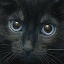 ���� ���, ����, 44 ���� - ��������� 10 ������� 2012 � ������ �������