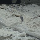  Serzh Van Der Maaremaan,  -  9  2010   River Aln-Blue Stream