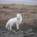 ���� ��������, ������ - ��������� 21 ����� 2012 � ������ �������� �����