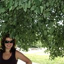 ���� ��������, ���������, 41 ��� - ��������� 1 ���� 2011 � ������ ���� ����������