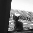 ���� ����, ������, 35 ��� - ��������� 19 ������� 2011