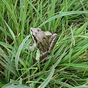  , , 37  -  17  2010   2