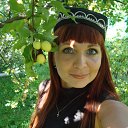 ���� E����, ������������ - ��������� 15 ������� 2011 � ������ ���� ����������