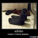 ���� ��������, ������, 45 ��� - ��������� 26 ��� 2010 � ������ ���������