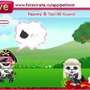 ���� Ҹ��, �����-���������, 23 ���� - ��������� 7 ������� 2010 � ������ �PetLove�