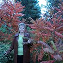 ���� ������, ������, 67 ��� - ��������� 18 ��� 2012