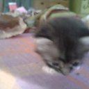 ���� ������, �����, 50 ��� - ��������� 16 ���� 2013 � ������ �� ��� ����� ����...�