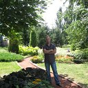 ���� ���������, ����, 44 ���� - ��������� 11 ���� 2013 � ������ ���� ����������