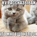 ���� ������, �����-��������� - ��������� 25 ���� 2013 � ������ ������� �������