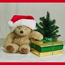 ���� Wonderland, ������ - ��������� 20 ����� 2010 � ������ ������