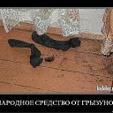 ���� �����, ����������, 60 ��� - ��������� 12 ��� 2011 � ������ �������