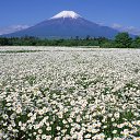 ���� Tatiana, ����, 43 ���� - ��������� 25 ������ 2013 � ������ ���� ����������