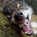 ���� �����, �����-�������� - ��������� 4 �������� 2012 � ������ �� ���� � ���� ������� ���.�