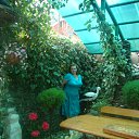  , , 50  -  10  2012   ,     