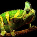 ���� ��������, ������ - ��������� 14 ������ 2011 � ������ ����������