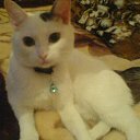 ���� ������, ���������, 41 ��� - ��������� 24 ������ 2010 � ������ �������