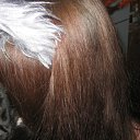 ���� ���� Smail, �������, 34 ���� - ��������� 23 ����� 2010 � ������ �������