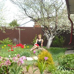 ���� �������, ����������, 66 ��� - ��������� 22 �������� 2011