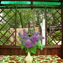 ���� ��������, �����, 54 ���� - ��������� 9 ������� 2011 � ������ ���� ����������