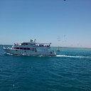 ���� ��������, ������, 67 ��� - ��������� 18 ���� 2013 � ������ ���� ���� ������