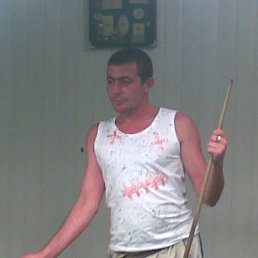 ���� �����, ���������, 46 ��� - ��������� 14 ������� 2013