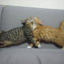 ����� �� ���� ������������ ���������! �� ������� ���� ������� �����