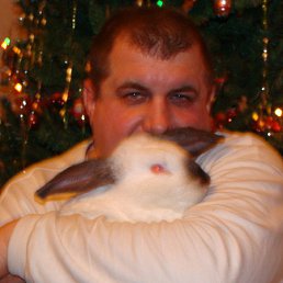 ����, �������, 63 ����