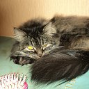 ���� ������, ������, 47 ��� - ��������� 7 ������ 2012 � ������ ���� ����������