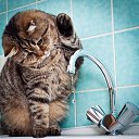 ����� ����������� ,��� ���� ������ ������ (�� , ��������, ����� )