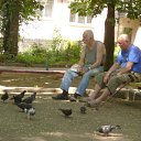   ( -        ,  -  16  2010      