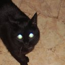 ���� ��������, ������, 52 ���� - ��������� 25 �������� 2010 � ������ �������