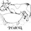 ���� �����-��, ����, 45 ��� - ��������� 24 ������ 2010 � ������ �ZODIAK � �����ջ