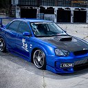 ���� �����, ������, 41 ��� - ��������� 18 ������� 2012