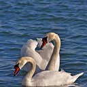 ���� �����, ����� - ��������� 29 ������ 2013 � ������ �������