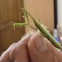 ���� �������, ������������, 43 ���� - ��������� 28 ������� 2012 � ������ ���� ����������