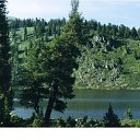 ����� ����